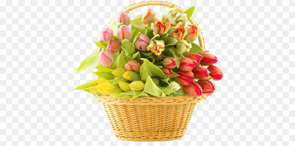 Bouquet Of Flowers Images Free Download Flower, Basket, Flower Arrangement, Flower Bouquet, Plant Png Image