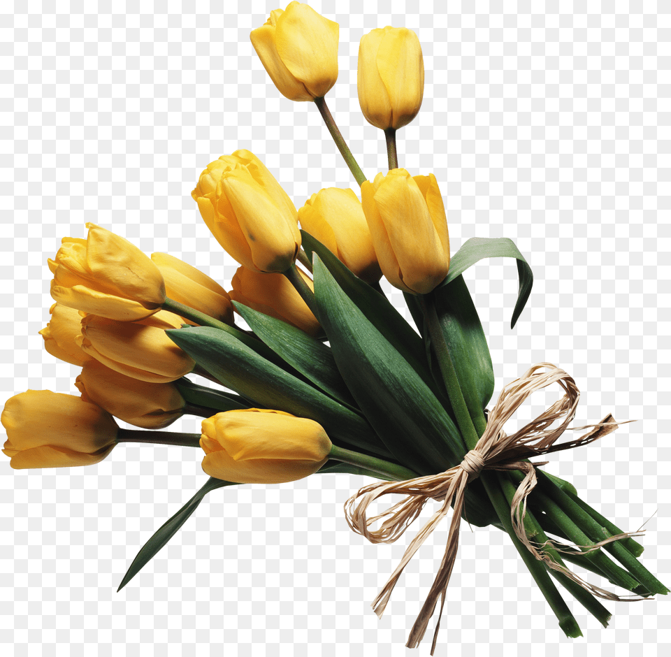 Bouquet Of Flowers In High Resolution Web Icons Yellow Moodboard, Flower, Flower Arrangement, Flower Bouquet, Plant Png Image