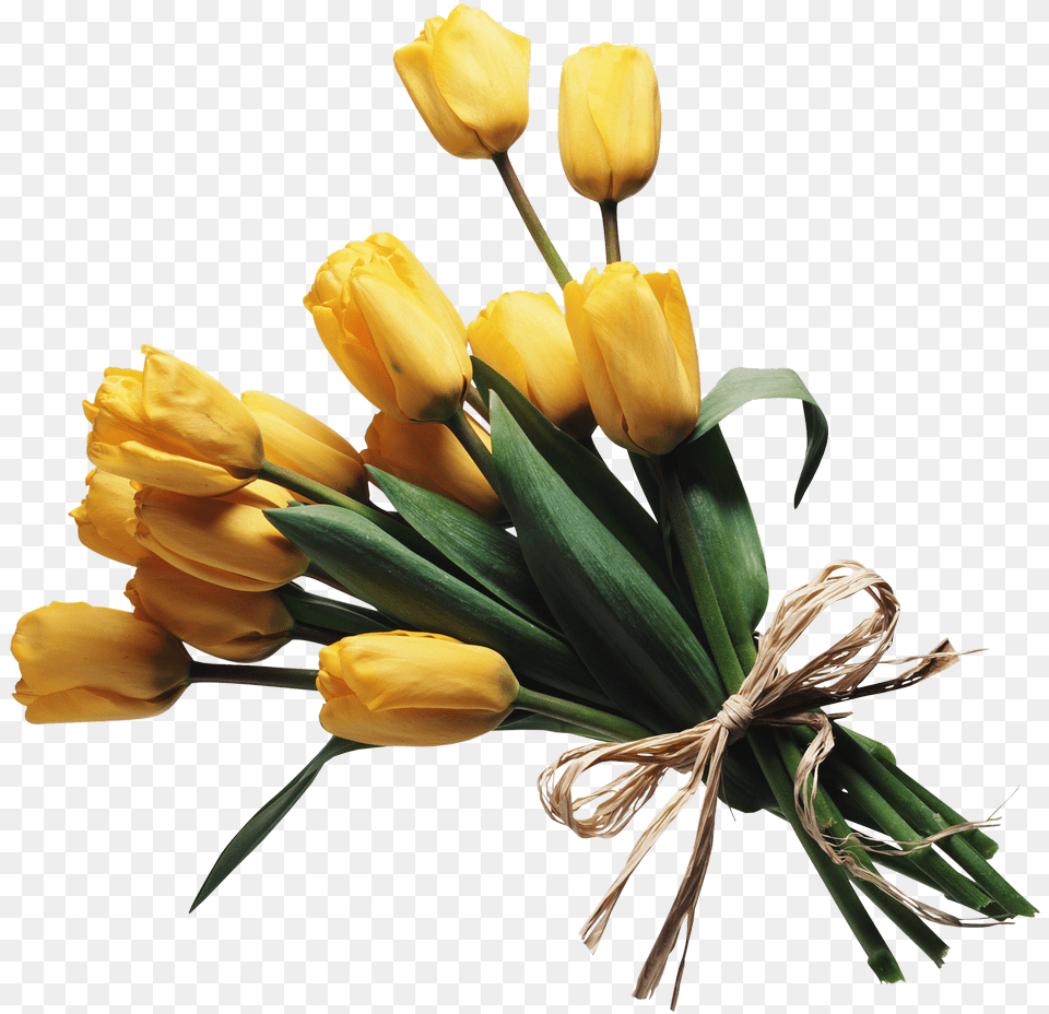 Bouquet Of Flowers Transparent Flower Bunch, Flower Arrangement, Flower Bouquet, Plant, Tulip Free Png