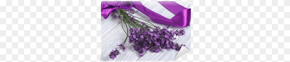 Bouquet Of Fresh Lavender Flowers With Purple Ribbon Kurt Eulzer Druck Geburtstagskarte Zahl Jumbo, Flower, Plant Png