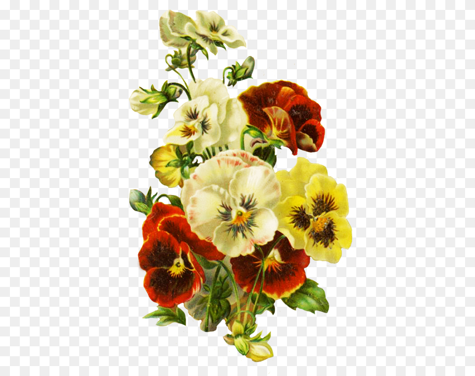 Bouquet Of Pansies Flower, Plant, Flower Arrangement, Flower Bouquet, Animal Png Image