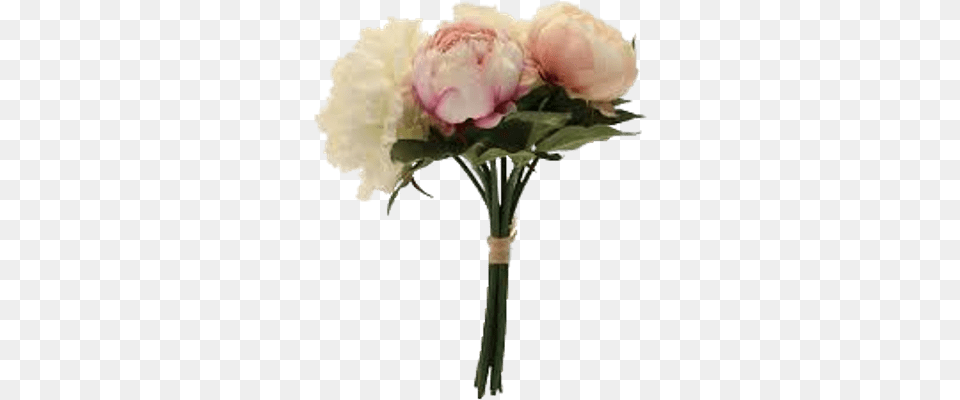 Bouquet Of Pink Peonies Transparent Peony Bouquet, Carnation, Flower, Flower Arrangement, Flower Bouquet Free Png