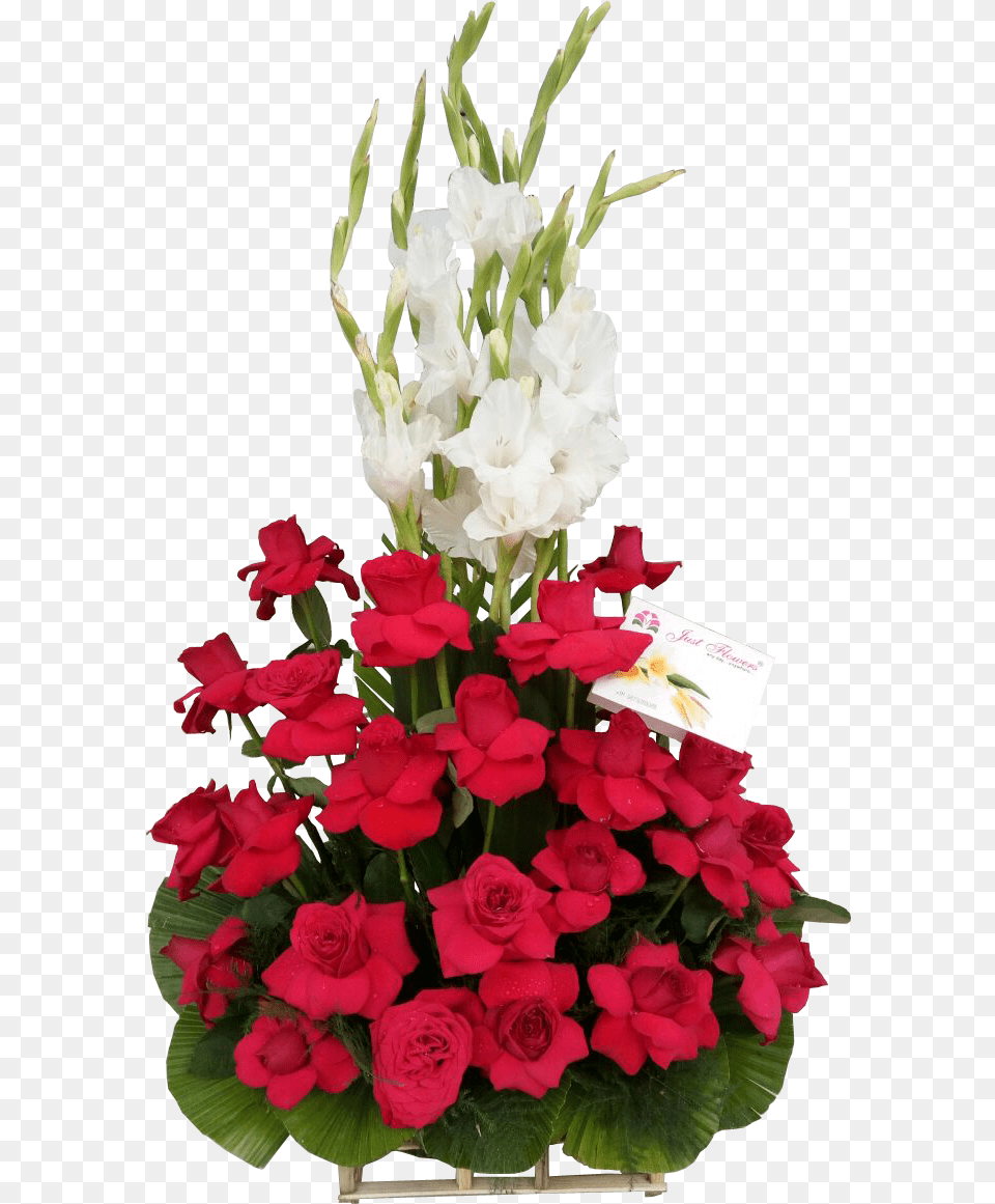 Bouquet Of Red Rose With White Gladiolus, Flower, Flower Arrangement, Flower Bouquet, Plant Png Image