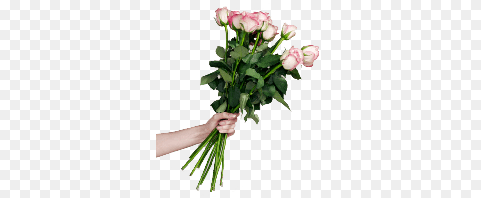 Bouquet Of Rose Flowers, Plant, Flower, Flower Arrangement, Flower Bouquet Png Image