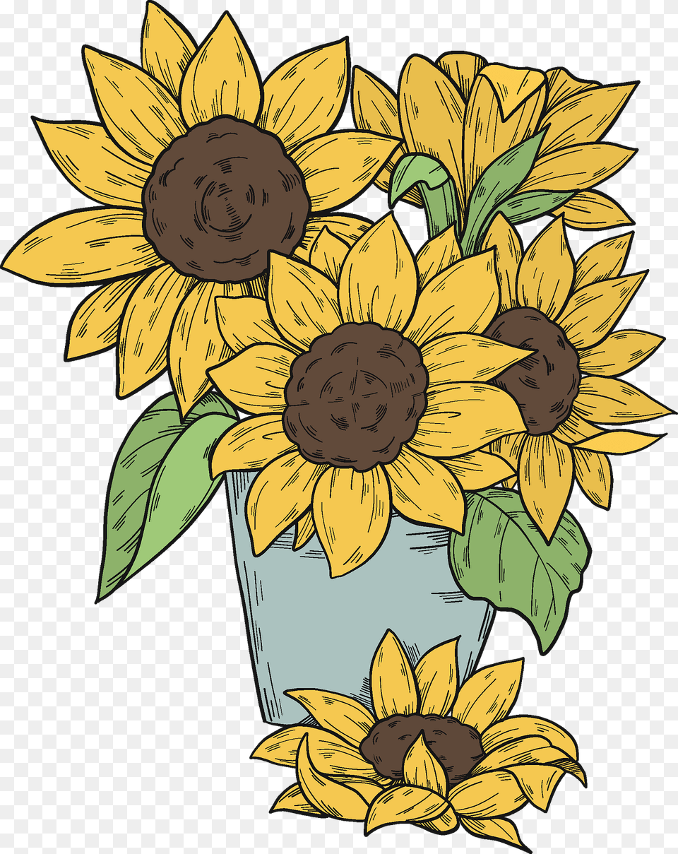 Bouquet Of Sunflowers Clipart, Flower, Plant, Sunflower, Face Png