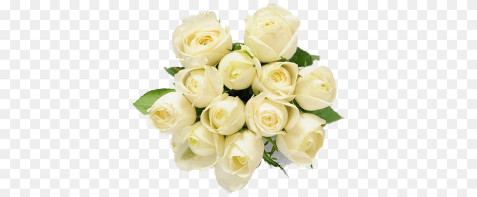 Bouquet Of White Roses Picture White Flower Buke, Flower Arrangement, Flower Bouquet, Plant, Rose Free Png Download