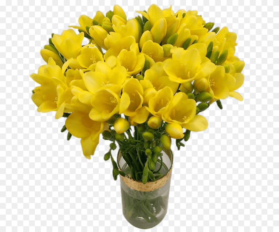 Bouquet Of Yellow Freesias, Flower, Flower Arrangement, Flower Bouquet, Plant Free Transparent Png