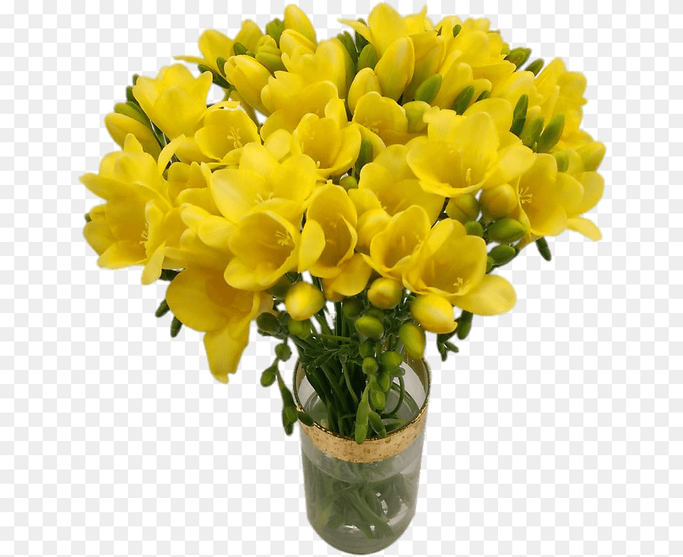 Bouquet Of Yellow Freesias Freesia Flower, Flower Arrangement, Flower Bouquet, Plant Png Image