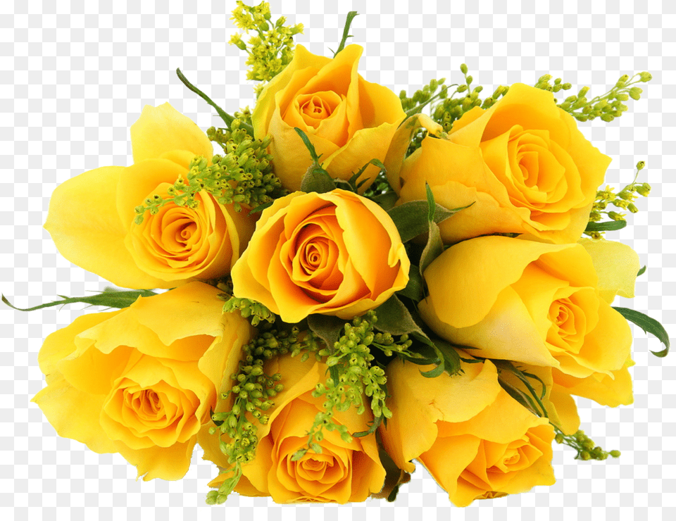 Bouquet Of Yellow Roses Yellow Flowers, Flower, Flower Arrangement, Flower Bouquet, Plant Free Transparent Png