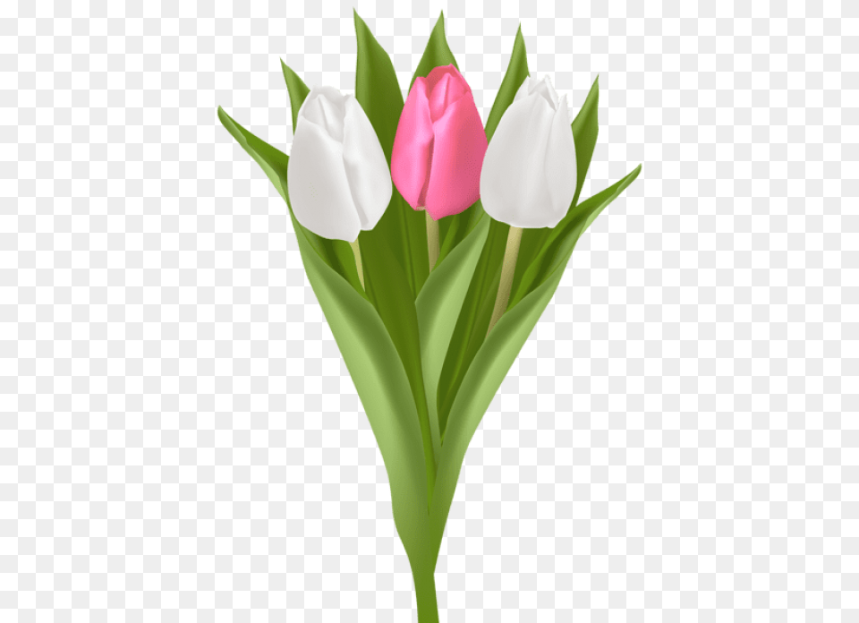 Bouquet Of Yellow Tulips Clipart Vector, Flower, Plant, Petal, Tulip Free Png Download