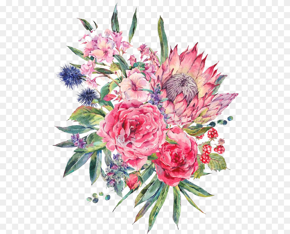 Bouquet Vector Rose Watercolor Watercolour Flowers Bouquet, Art, Plant, Pattern, Graphics Png