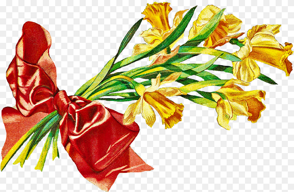 Bouquet Vector Vintage Clip Art, Flower, Flower Arrangement, Flower Bouquet, Plant Png