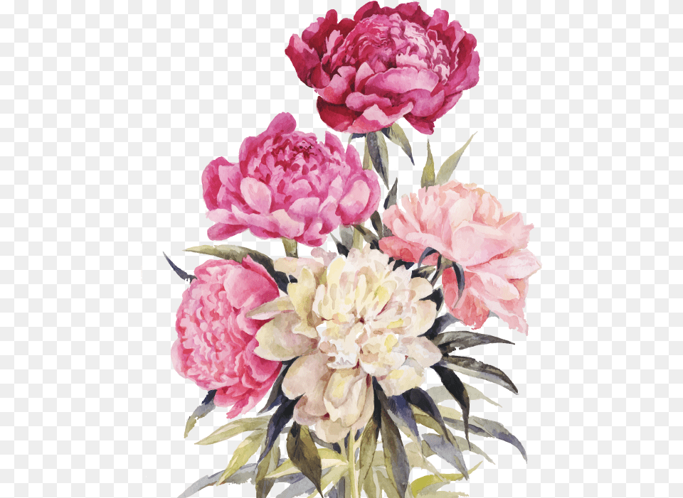 Bouquet Vector Watercolor Vintage Peony Illustration, Carnation, Flower, Flower Arrangement, Flower Bouquet Free Png