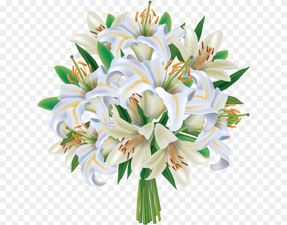 Bouquet White Flower Clipart Flowers Bouquets, Plant, Anther, Flower Arrangement, Flower Bouquet Png