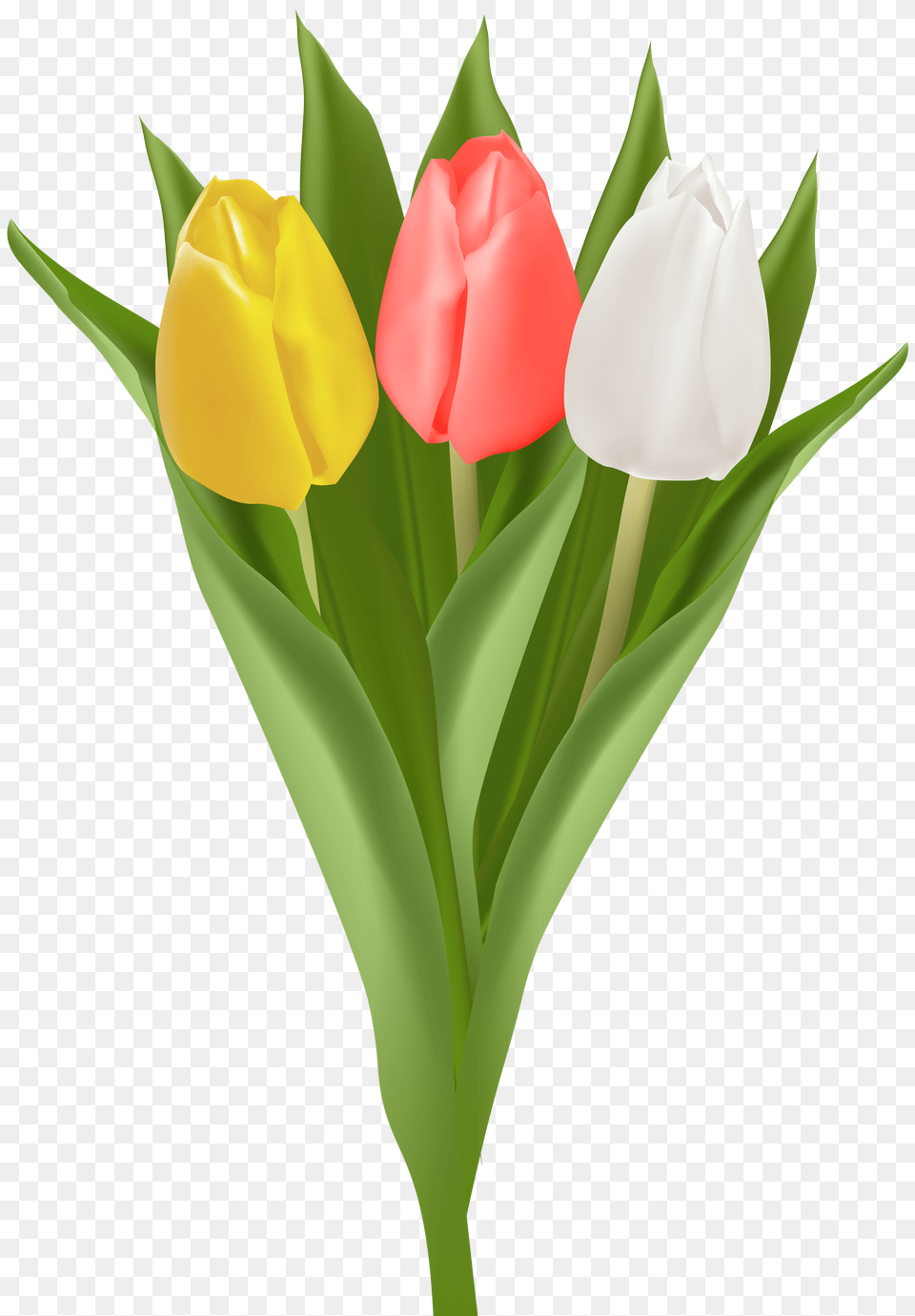 Bouquet With Tulips Clip Art Free Transparent Png
