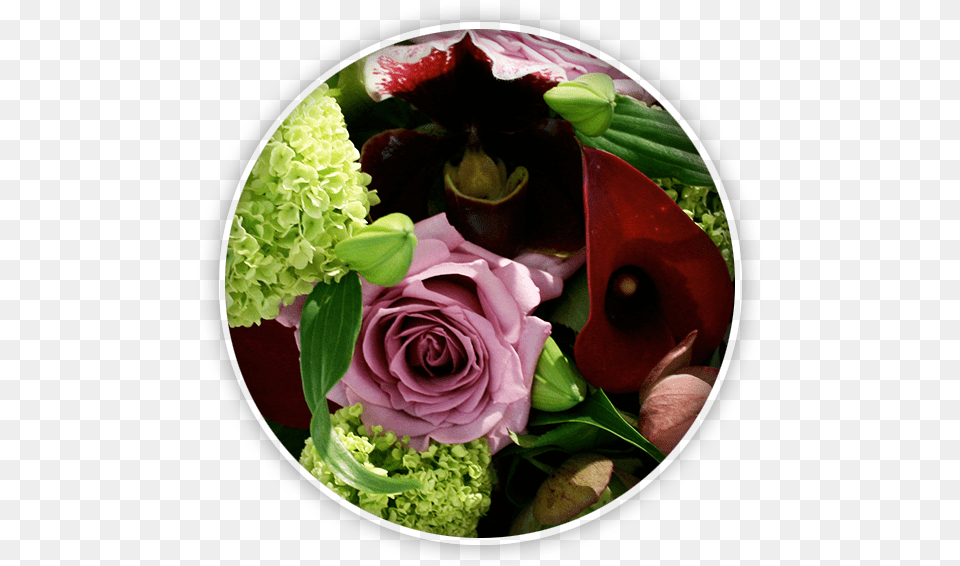 Bouquets Amp Flowers Floribunda, Flower, Flower Arrangement, Flower Bouquet, Plant Png Image