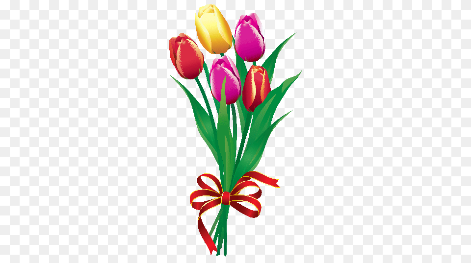 Bouquets Cliparts, Flower, Plant, Tulip, Flower Arrangement Free Transparent Png