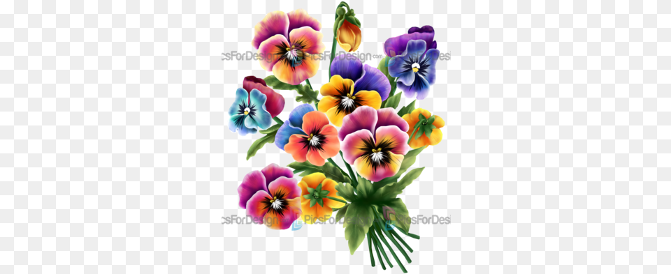 Bouquets Of Pansies Lilii I Tyulpani, Flower, Plant, Pansy Free Transparent Png