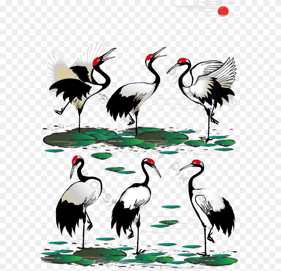Boutique Chinese Feng Shui Ink Crane Red Crowned Crane Lotus V Su U, Animal, Bird, Crane Bird, Waterfowl Png