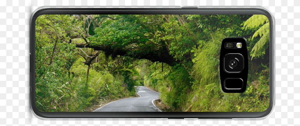 Boutique Photography New Zealand Middle Earth U2014 Emmanuelle Perryman Woodland, Electronics, Speaker, Road, Plant Free Png Download