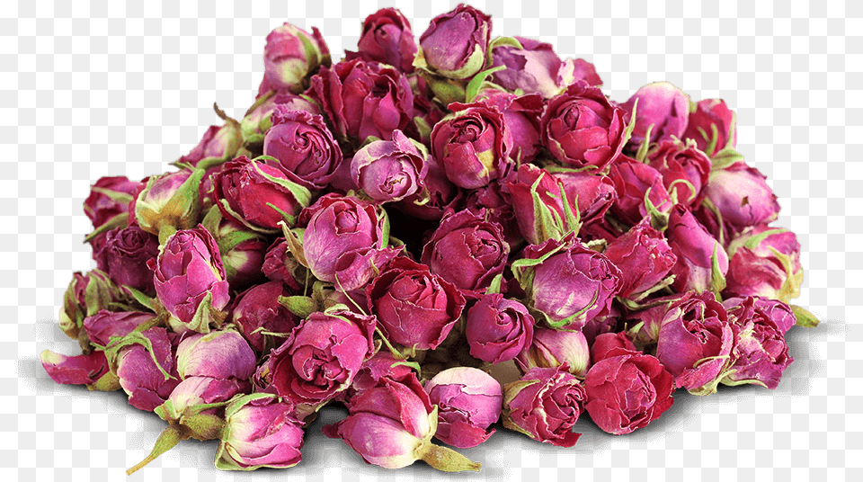 Bouton De Rose Sche, Flower, Flower Arrangement, Flower Bouquet, Plant Png Image