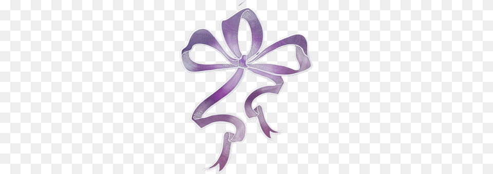 Bow Purple, Accessories, Animal, Fish Png