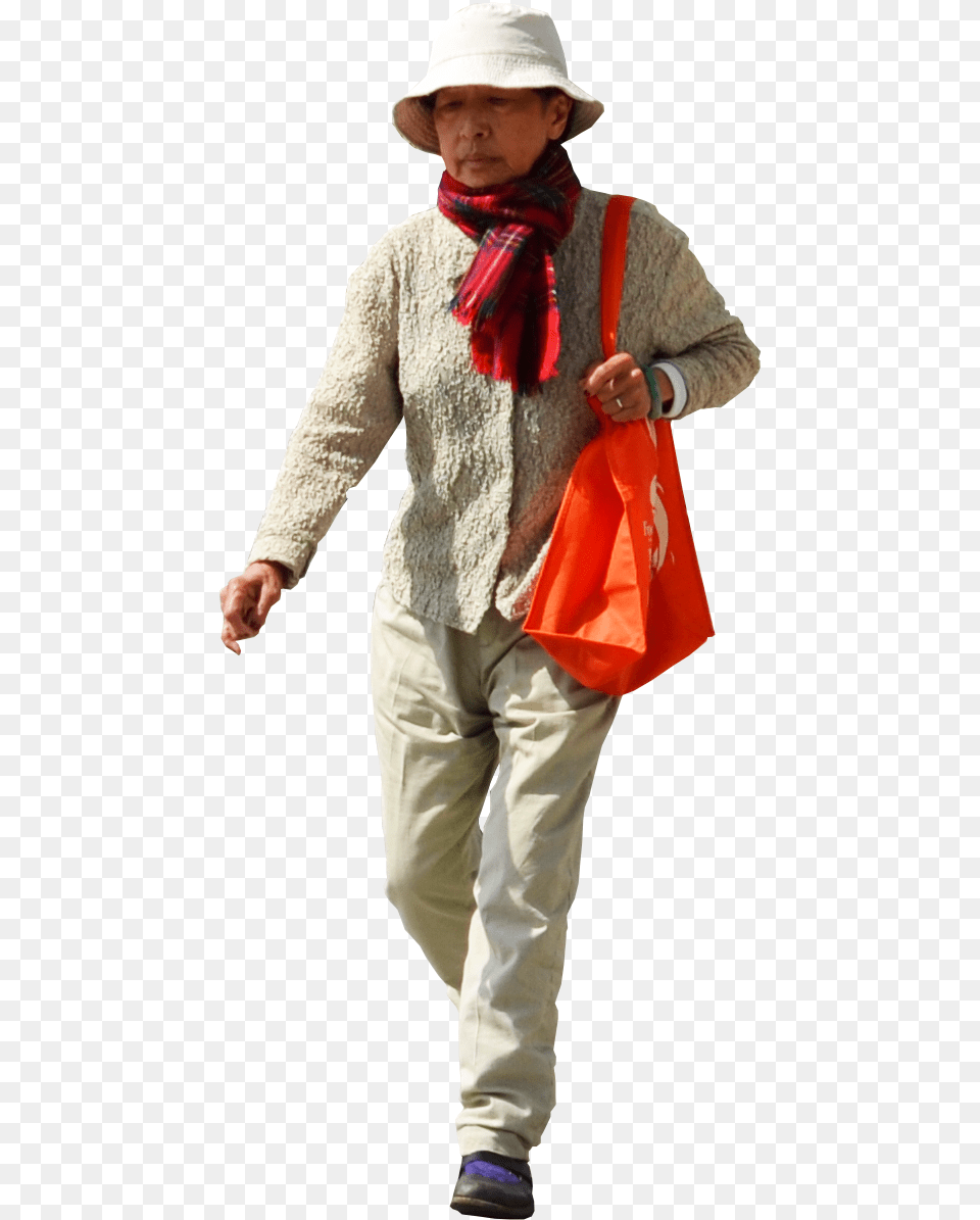 Bow Asian Cat Elderly People, Accessories, Hat, Handbag, Clothing Free Png Download