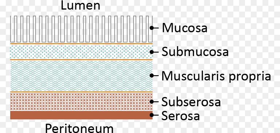 Bowel Layers, Gate, Person, Weaving, Woven Free Png Download