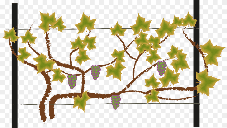 Bower Clipart, Leaf, Plant, Tree, Pattern Png Image