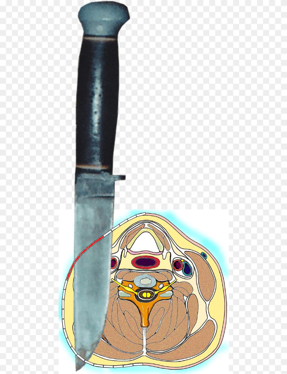Bowie Knife, Blade, Dagger, Weapon Free Png