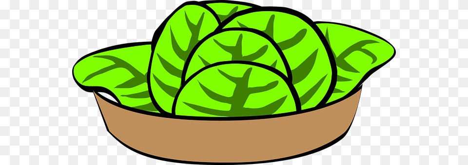Bowl Food, Produce, Leafy Green Vegetable, Plant Png