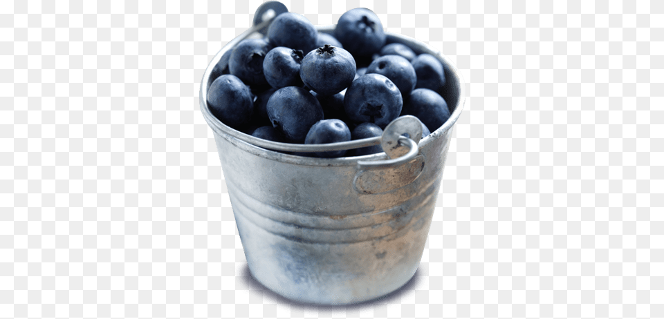 Bowl Of Blueberries, Berry, Blueberry, Food, Fruit Png