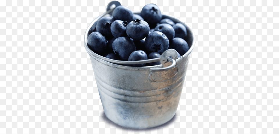 Bowl Of Blueberries Bucket Of Blueberries, Berry, Blueberry, Food, Fruit Png Image