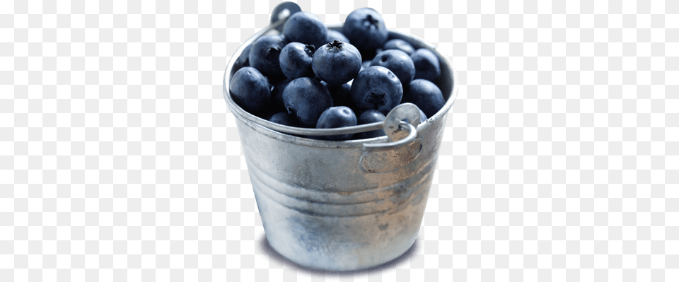 Bowl Of Blueberries Lindon Farms 300 Serving Freeze Dried Fruits, Berry, Blueberry, Food, Fruit Png