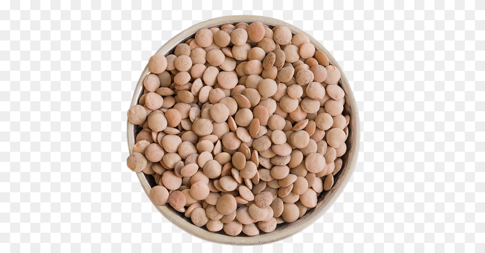 Bowl Of Brown Lentils, Bean, Food, Lentil, Plant Free Png