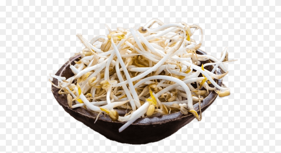 Bowl Of Soybean Sprouts, Bean Sprout, Food, Plant, Produce Png
