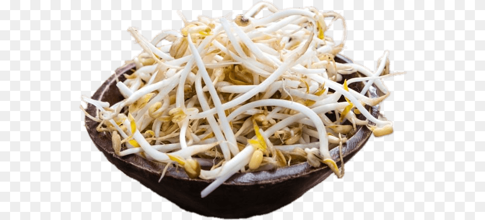 Bowl Of Soybean Sprouts, Bean Sprout, Food, Plant, Produce Free Png