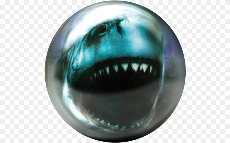 Bowling Ball Shark, Sphere Free Transparent Png