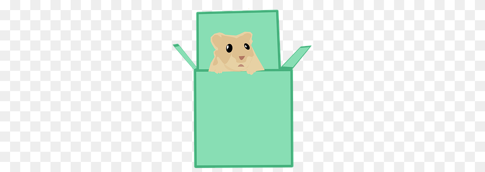 Box Animal, Bear, Mammal, Wildlife Free Transparent Png