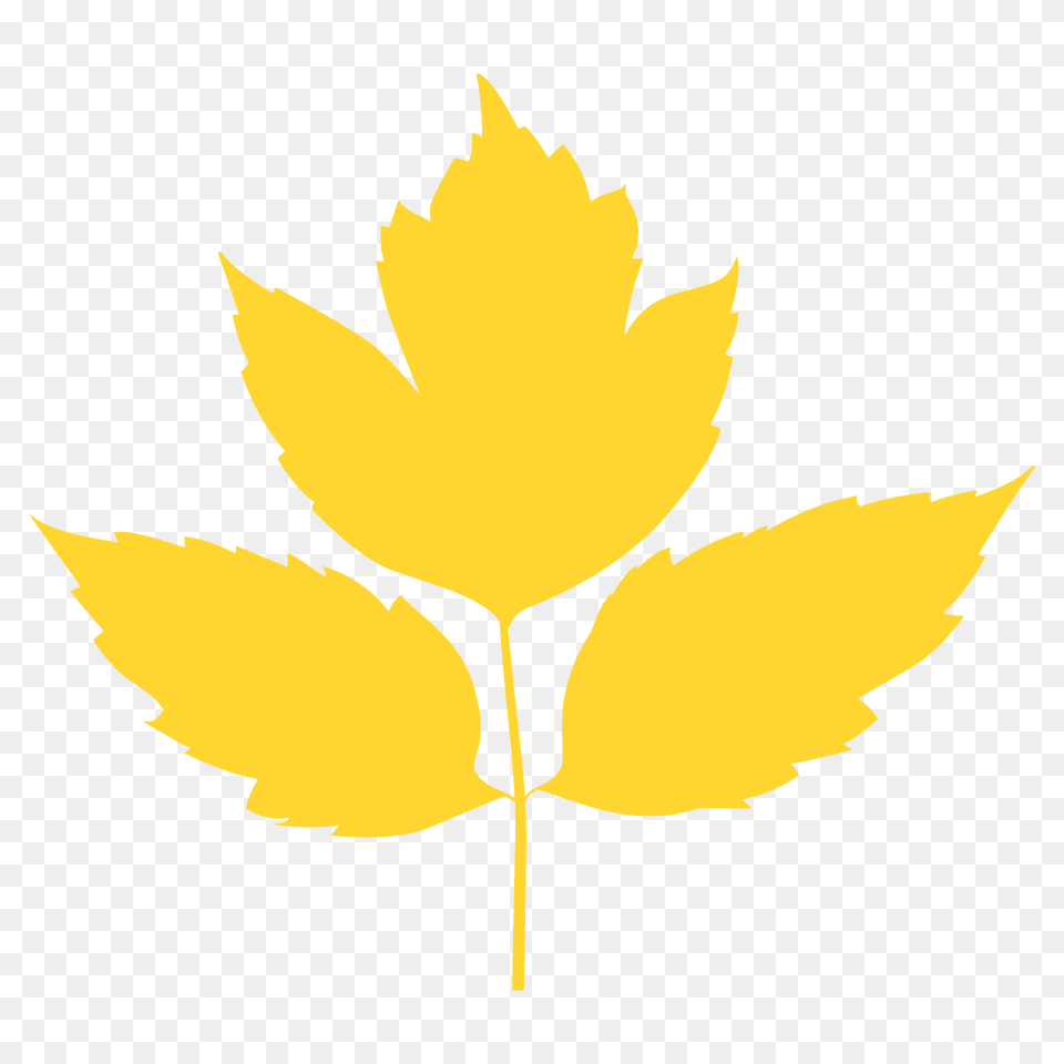 Box Elder Leaf Silhouette, Plant, Maple Leaf, Tree, Animal Free Transparent Png