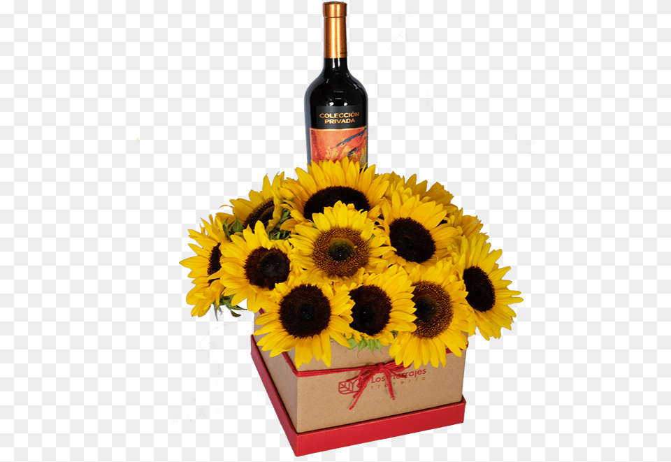 Box Girasoles Vino Sunflower, Alcohol, Wine, Plant, Liquor Free Png