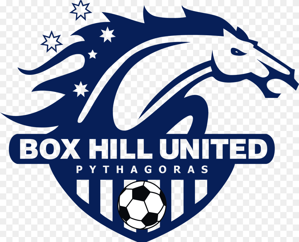 Box Hill United Soccer Club, Ball, Football, Soccer Ball, Sport Free Png