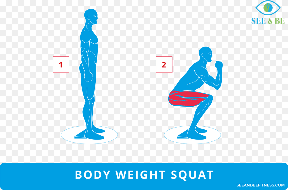 Box Jumps Muscle Groups, Adult, Female, Person, Woman Free Transparent Png