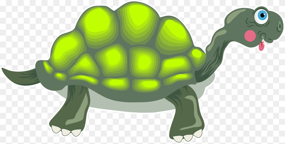 Box Turtles Tortoise Reptile Sea Turtle, Animal, Sea Life, Bear, Mammal Free Transparent Png
