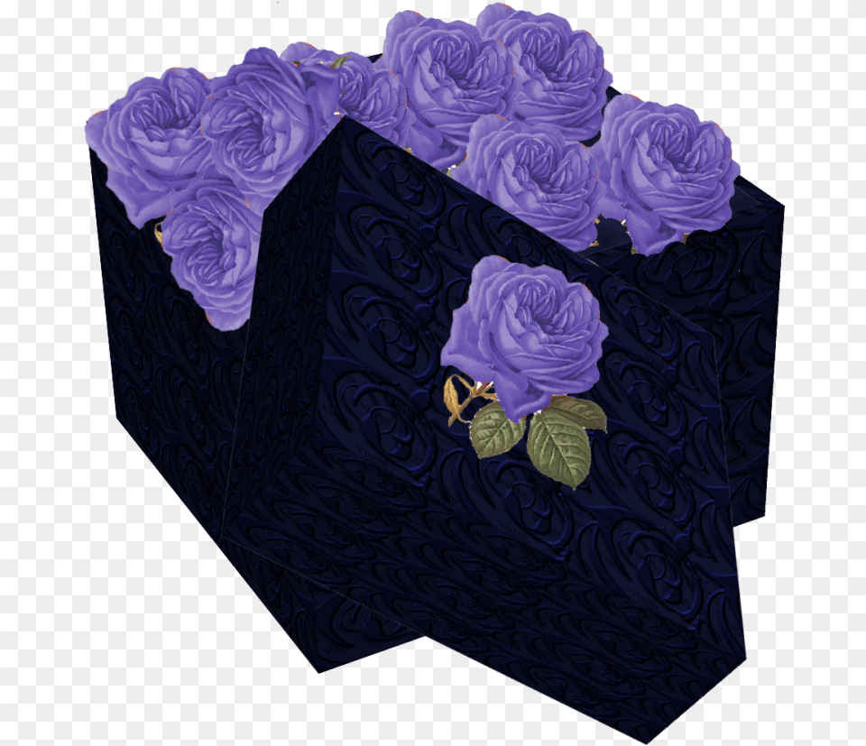 Box Wit Purple Rose Garden Roses, Flower, Plant, Pattern, Art Free Png Download