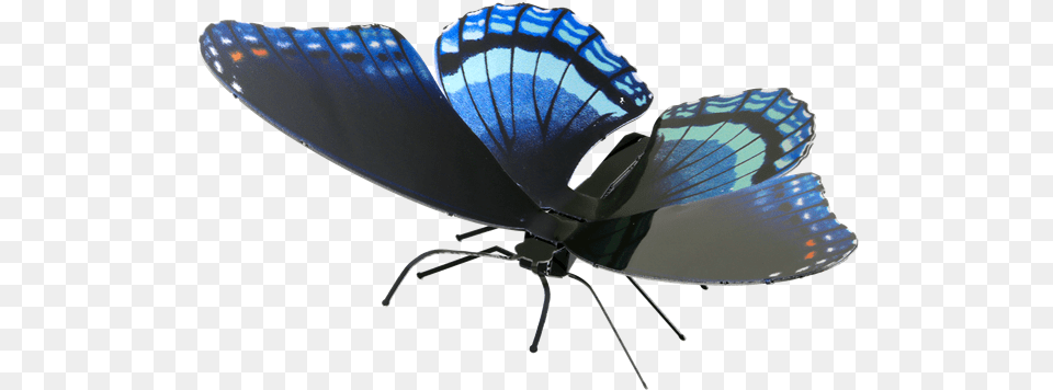Boxart Red Spotted Purple Butterfly Mms130 Fascinations Limenitis Arthemis, Animal, Insect, Invertebrate, Appliance Free Png Download