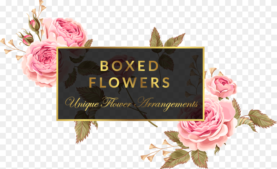Boxed Flowers And Sweets Box Flower Logo, Plant, Rose, Art, Floral Design Png