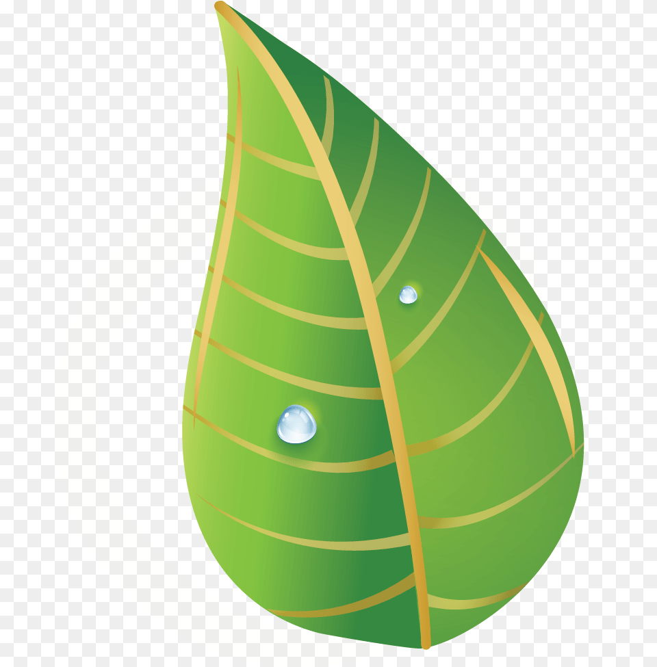 Boxed Portfolio Grid Kenko Leaf Illustration, Droplet, Plant, Ammunition, Grenade Free Png Download