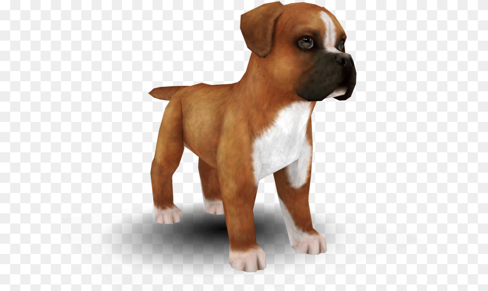 Boxer, Animal, Bulldog, Canine, Dog Free Png Download