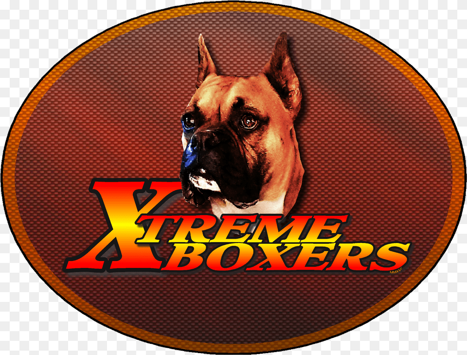 Boxer, Animal, Canine, Dog, Mammal Free Png Download